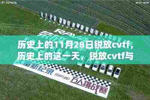 历史上的锐放CVTF与温馨友谊的奇妙日常,纪念11月28日这一天