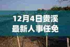 贵溪市最新人事任免动态解析及深度评测（12月4日人事调整）