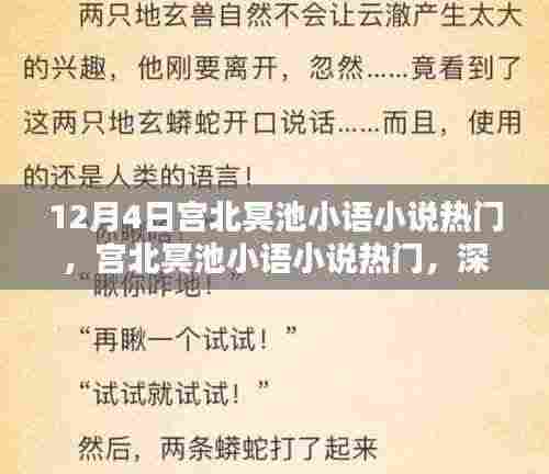 宫北冥池小语小说热门，深度测评与介绍，不容错过！
