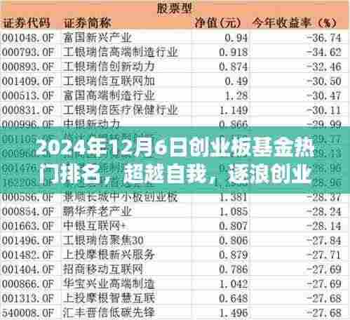 超越自我,逐浪前行,2024年创业板基金热门排名揭晓