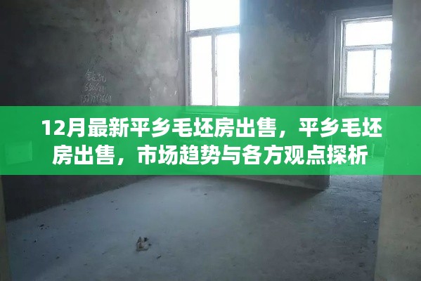 平乡毛坯房最新出售信息,市场趋势与多方观点解析