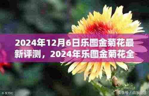 乐图金菊花全面评测,科技与艺术的融合巅峰之作(2024年最新评测)