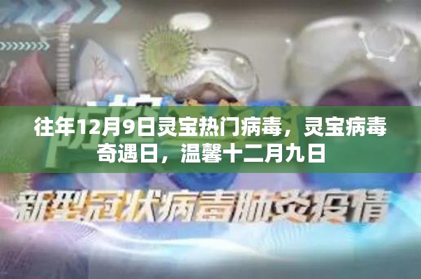 往年12月9日灵宝病毒奇遇记,温馨之日的独特故事