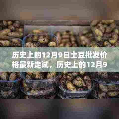 贵不可言 第5页