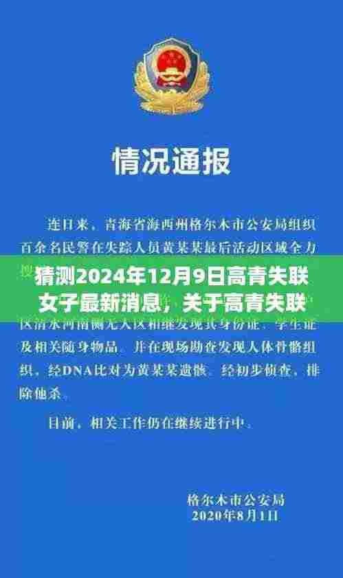 关于高青失联女子最新情况的猜测与分析,最新进展与未来预测(2024年视角)
