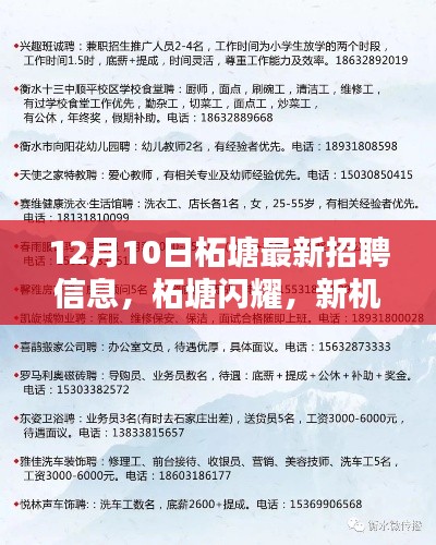 运输网络 第331页