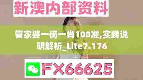 管家婆一码一肖100准,实践说明解析_Lite7.176