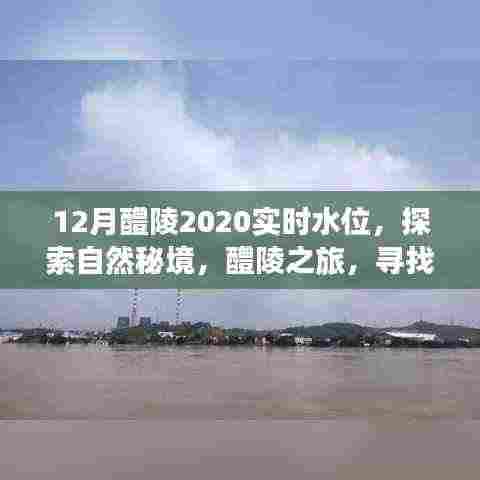 醴陵实时水位探秘之旅，自然秘境与内心宁静之湖的追寻