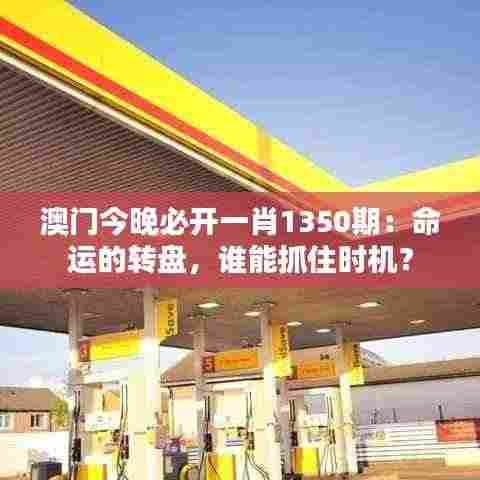 澳门今晚必开一肖1350期:命运的转盘,谁能抓住时机?