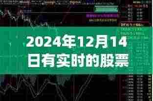 探秘小巷深处的宝藏,特色小店的股票故事与实时股票信息揭秘