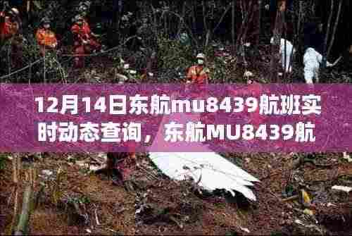 东航MU8439航班实时动态查询,便捷服务引发争议热议