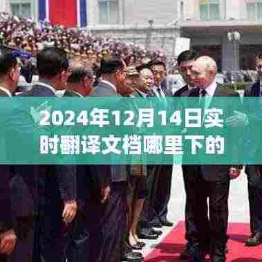 2024年实时翻译文档下载盛景,背景、事件与影响