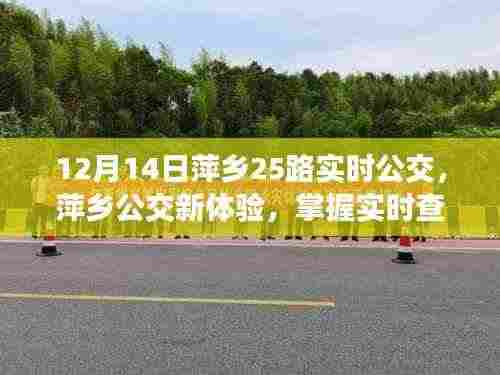 萍乡公交新体验，实时查询掌握出行，轻松出行萍乡公交25路指南