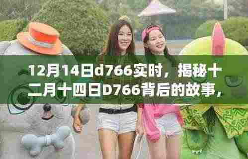 揭秘十二月十四日D766背后的故事,速度与时间的实时之旅纪实报道