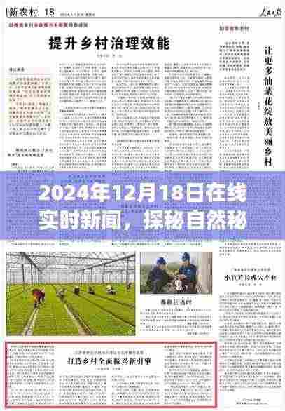 探秘自然秘境的心灵之旅启程,在线新闻纪实报道