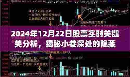 揭秘特色小店股票实时关键分析,2024年12月22日股市洞察与实时股票分析