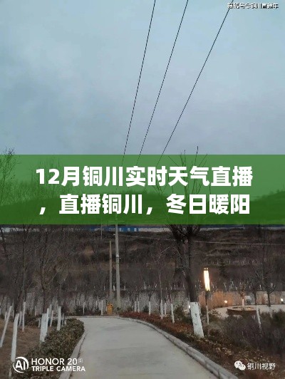 铜川实时天气直播,冬日暖阳下的自然探索之旅