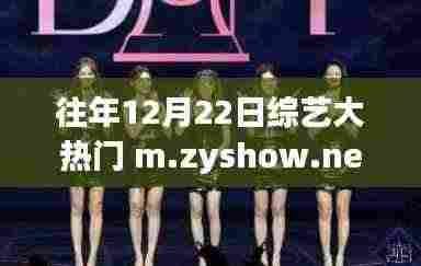 逆风翱翔,综艺大热门与人生的变化力量引领前行之路