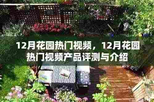 12月花园热门视频产品评测与介绍,详解视频内容与特色