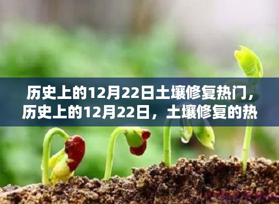 历史上的土壤修复热潮,重塑自信的种子在12月22日破土而出