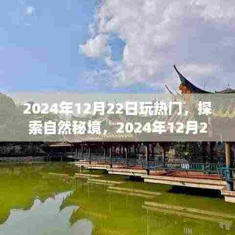 探索自然秘境，揭秘热门旅行地，寻找内心的宁静与平和——2024年12月22日的旅程