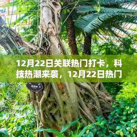 12月22日科技热潮打卡指南,体验未来科技的魅力