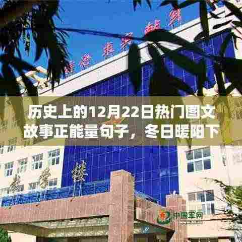 历史上的今天,冬日暖阳下的温馨故事与正能量图文回顾