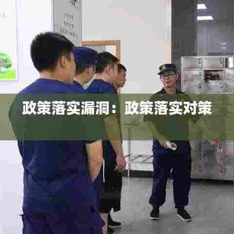 政策落实漏洞：政策落实对策 