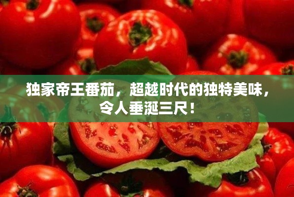 独家帝王番茄,超越时代的独特美味,令人垂涎三尺!