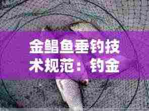 金鲳鱼垂钓技术规范:钓金鲳鱼沉底还是钓浮漂