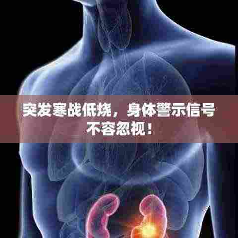 突发寒战低烧，身体警示信号不容忽视！