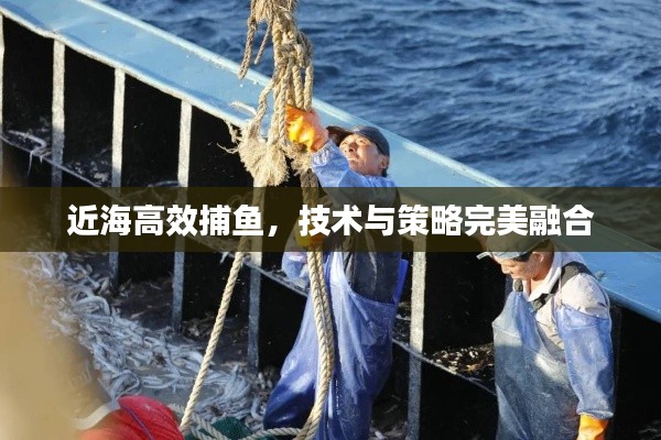 近海高效捕鱼,技术与策略完美融合
