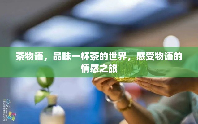 茶物语,品味一杯茶的世界,感受物语的情感之旅