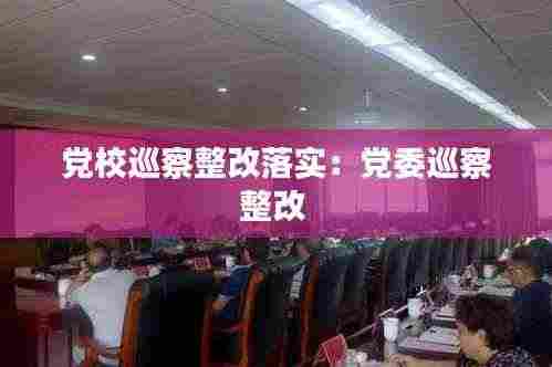 党校巡察整改落实:党委巡察整改