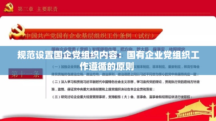 规范设置国企党组织内容：国有企业党组织工作遵循的原则 