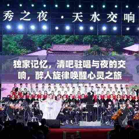 独家记忆,清吧驻唱与夜的交响,醉人旋律唤醒心灵之旅
