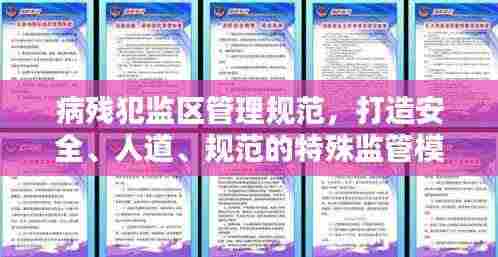 病残犯监区管理规范，打造安全、人道、规范的特殊监管模式