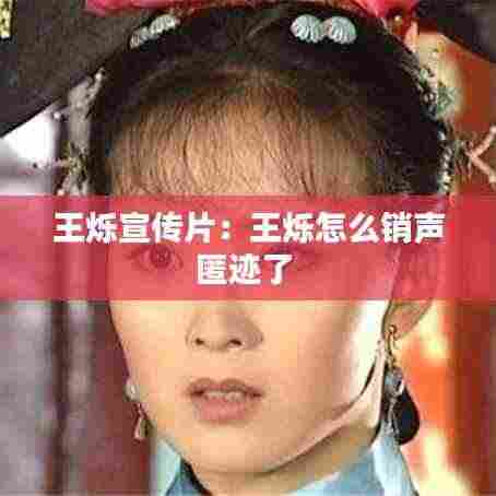 王烁宣传片:王烁怎么销声匿迹了