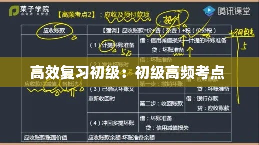 高效复习初级：初级高频考点 