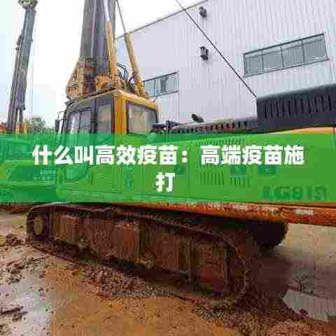 什么叫高效疫苗：高端疫苗施打 