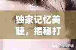 独家记忆美睫,揭秘打造迷人眼妆的神秘武器