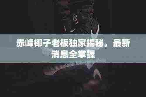 赤峰椰子老板独家揭秘,最新消息全掌握