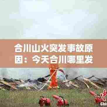 合川山火突发事故原因:今天合川哪里发生火灾