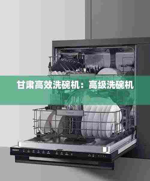 甘肃高效洗碗机：高级洗碗机 