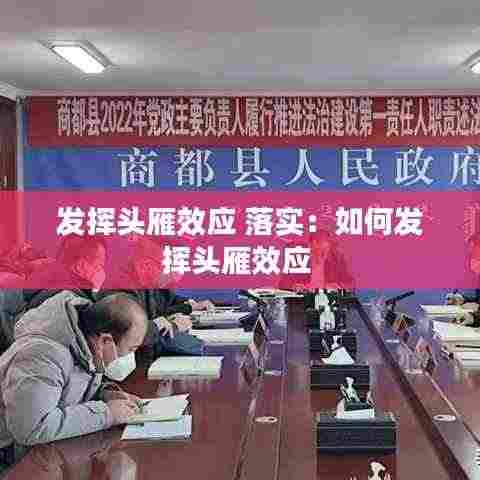 发挥头雁效应 落实:如何发挥头雁效应