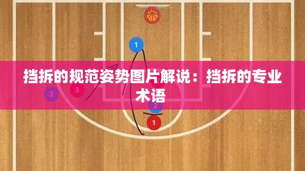 挡拆的规范姿势图片解说：挡拆的专业术语 