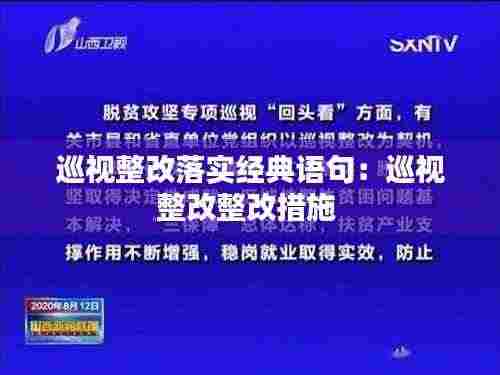 巡视整改落实经典语句:巡视整改整改措施