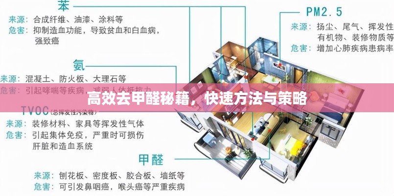 高效去甲醛秘籍,快速方法与策略