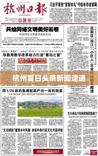 杭州夏日头条新闻速递