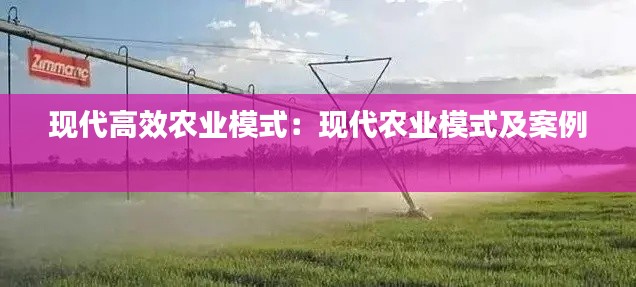 现代高效农业模式：现代农业模式及案例 